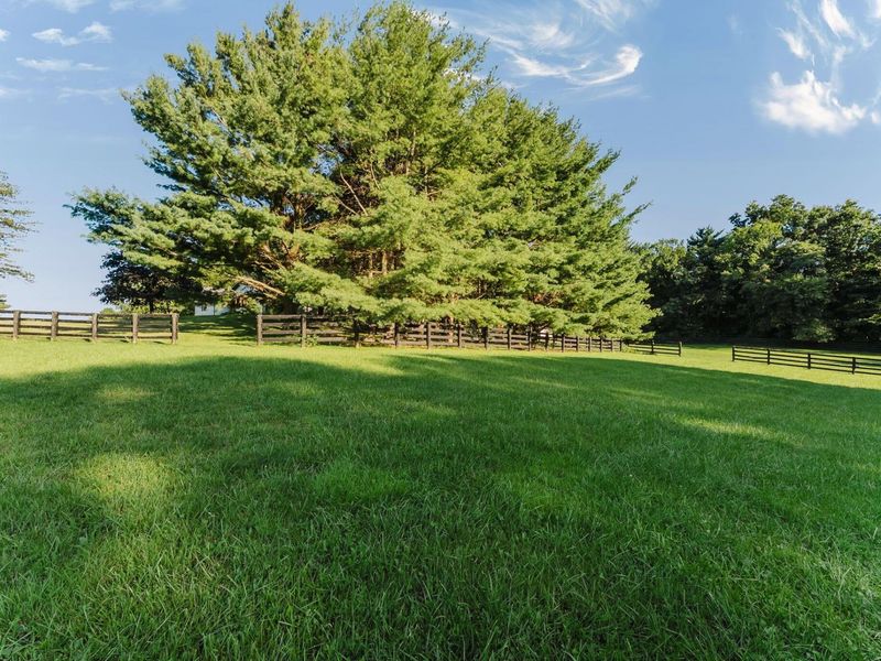 16850 Peerless Road, Centerburg, OH 43011 Photo 94