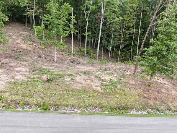 Lot 44 Bayside Boulevard, Bean Station, TN 37708