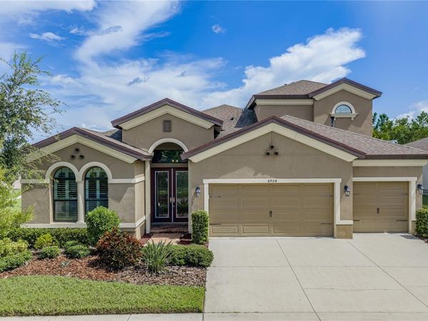 6904 EBB TIDE AVENUE , APOLLO BEACH, FL 33572