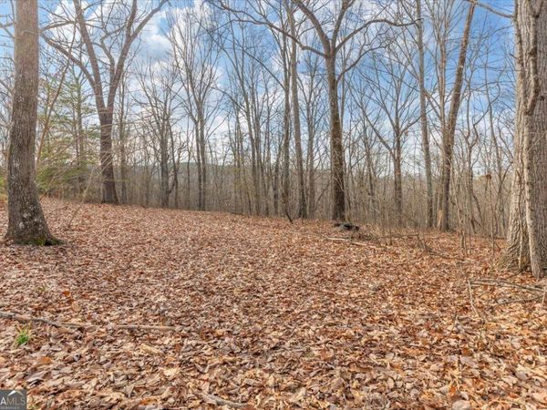 13 ACRES Percheron Drive, Dalton, GA 30720
