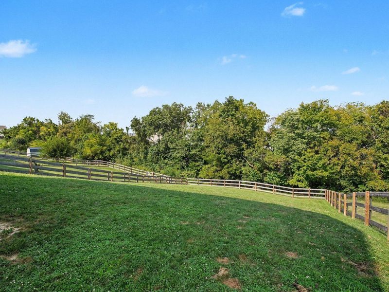 12091 Ambruzzi Drive, Walton, KY 41094 Photo 24