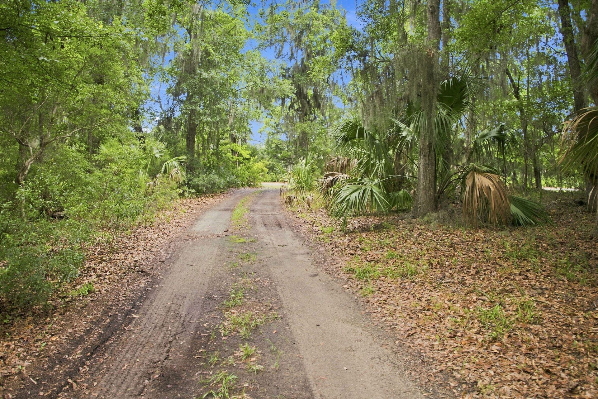 8557 Palmetto Road Photo 75