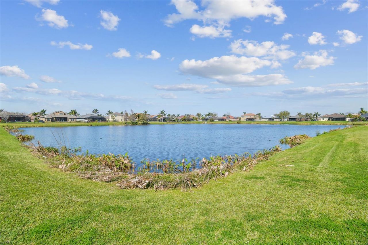 5108 Butterfly Shell Drive , Apollo Beach, FL 33572 Photo