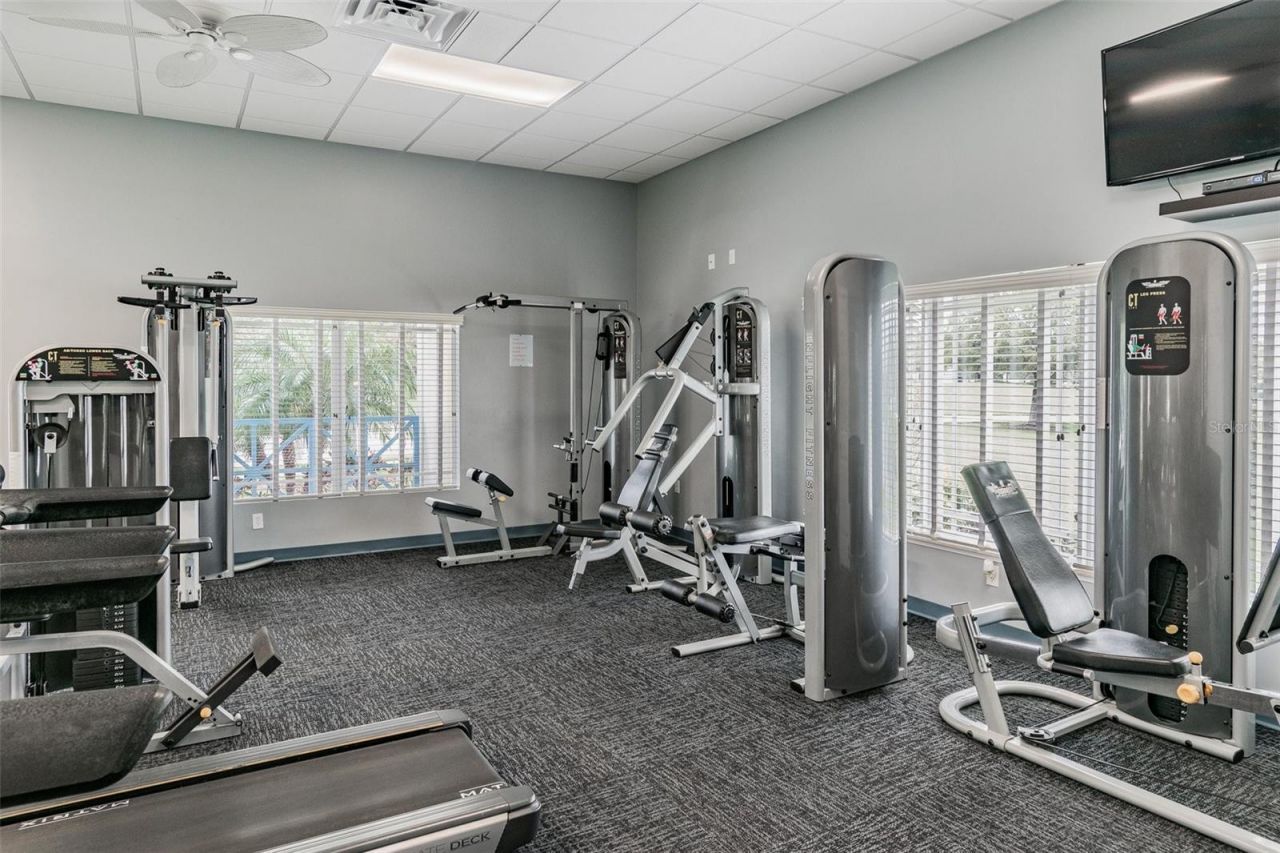5108 Butterfly Shell Drive , Apollo Beach, FL 33572 Photo