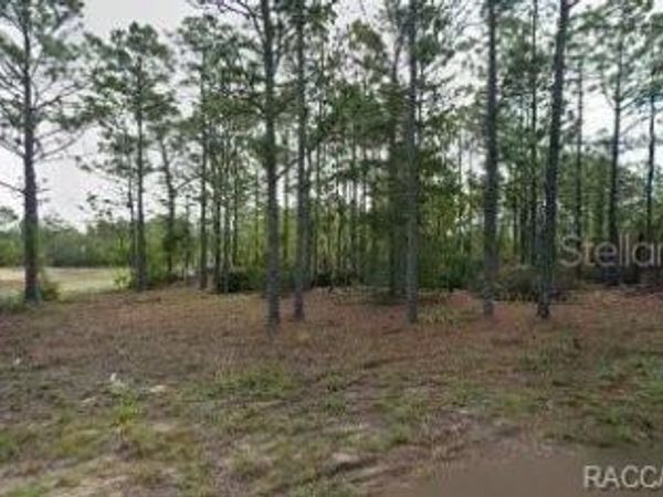 10599 N CALDERA AVENUE , CITRUS SPRINGS, FL 34433