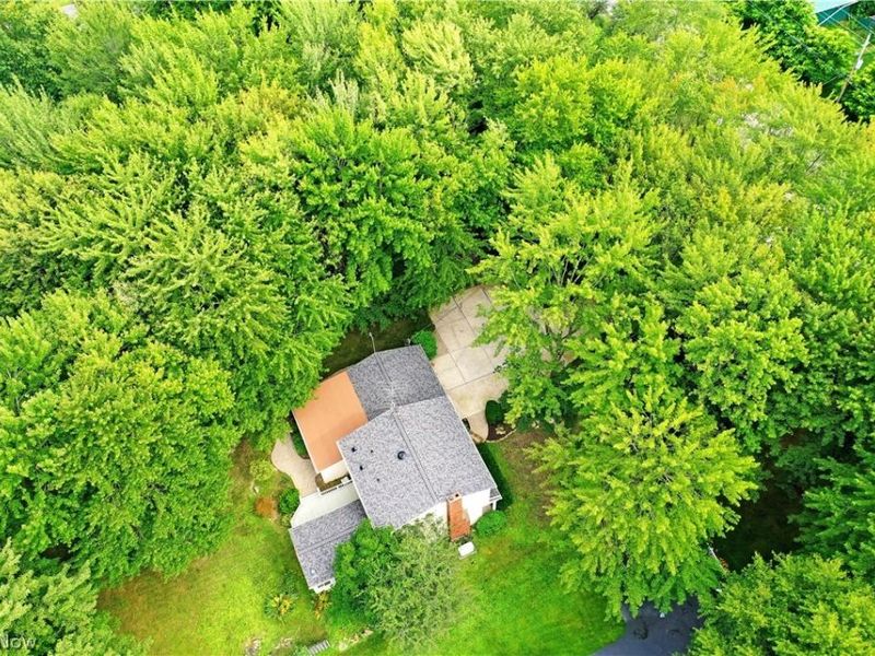 1097 Center Street E, Warren, OH 44481 Photo 4