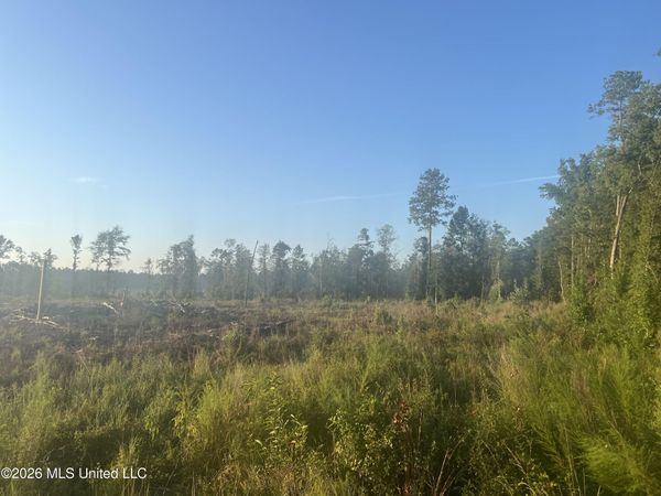 Vernal River Rd , Lucedale, MS 39452