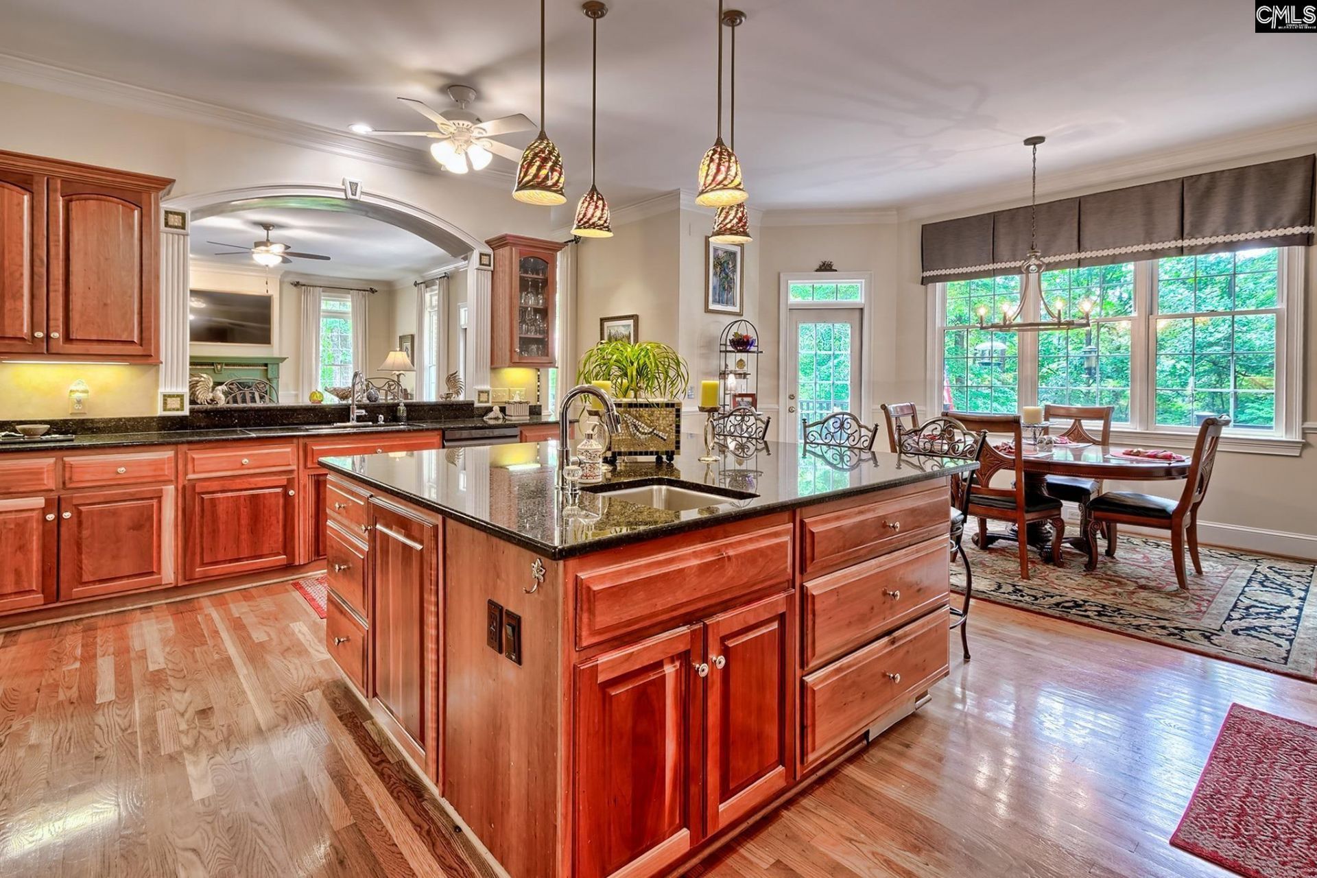 101 Laurent Way  Photo 9
