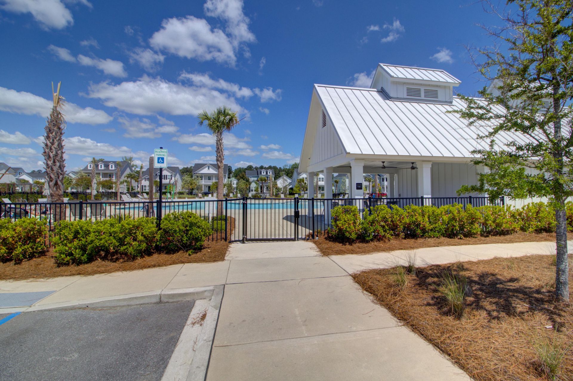 1649 Banning Street Photo 62