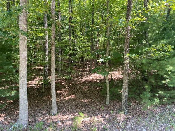 6.93 AC Timber Ridge Road, Blairsville, GA 30512