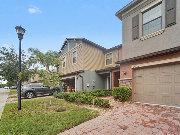 17335 OLD TOBACCO ROAD, LUTZ, FL 33558