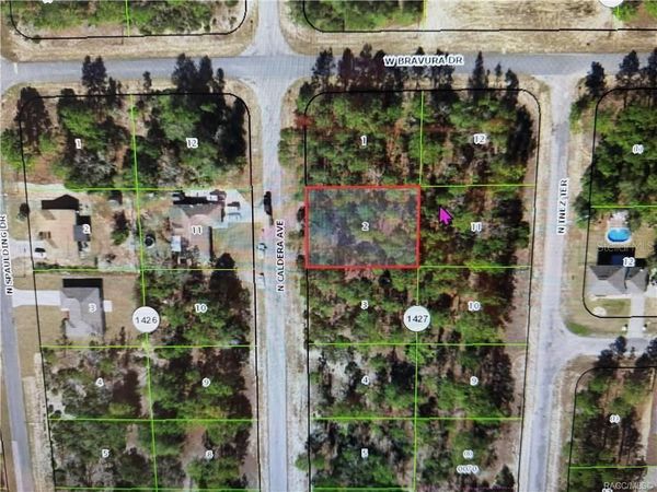 10585 N CALDERA AVENUE , CITRUS SPRINGS, FL 34433