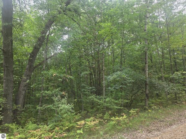 7873 Wild Oaks Drive, Weidman, MI 48893