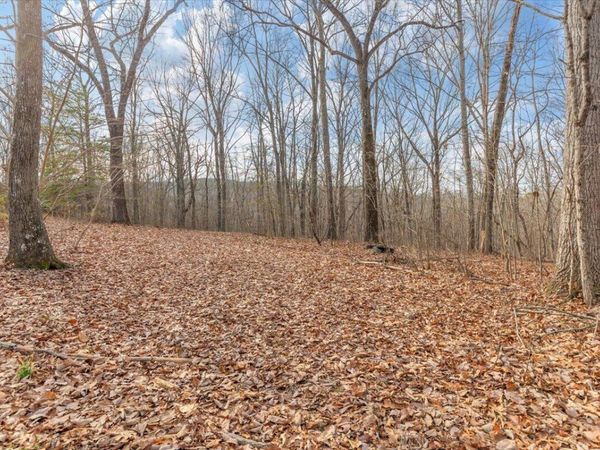 13 Ac Percheron Drive, Dalton, GA 30720