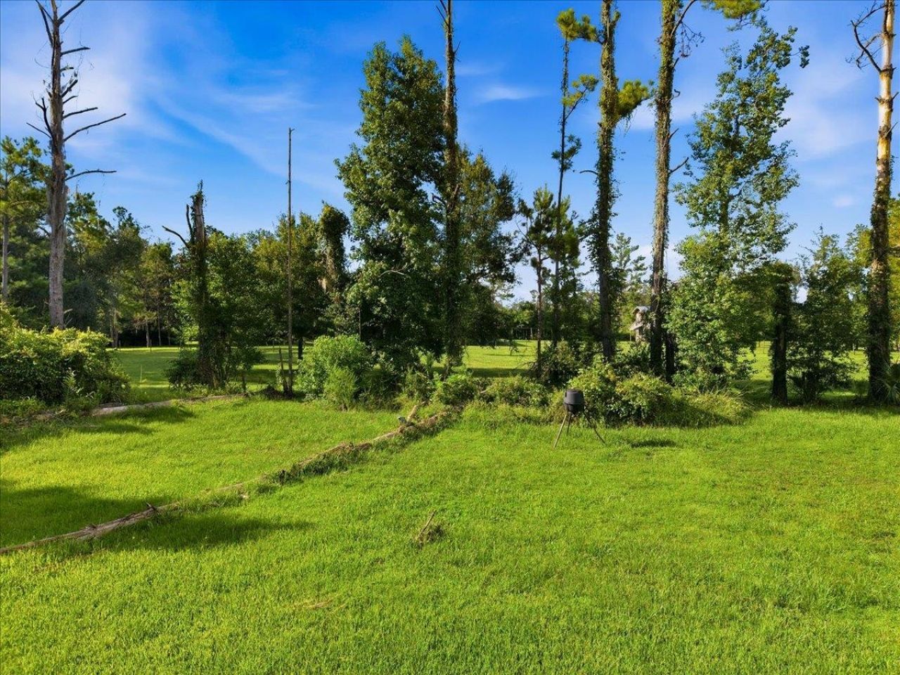 5080 Us 221 Highway , Perry, FL 32347 Photo