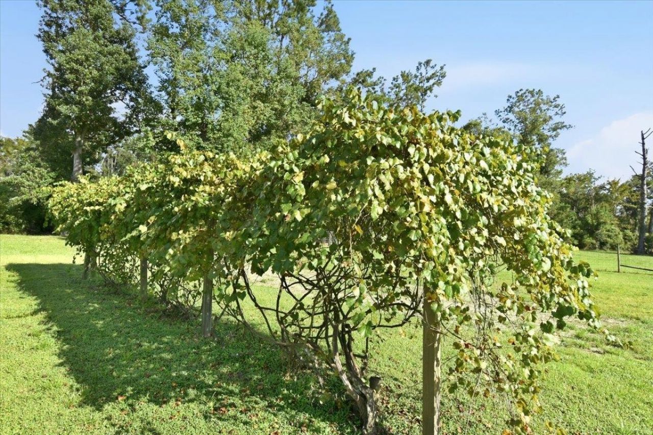 5080 Us 221 Highway , Perry, FL 32347 Photo