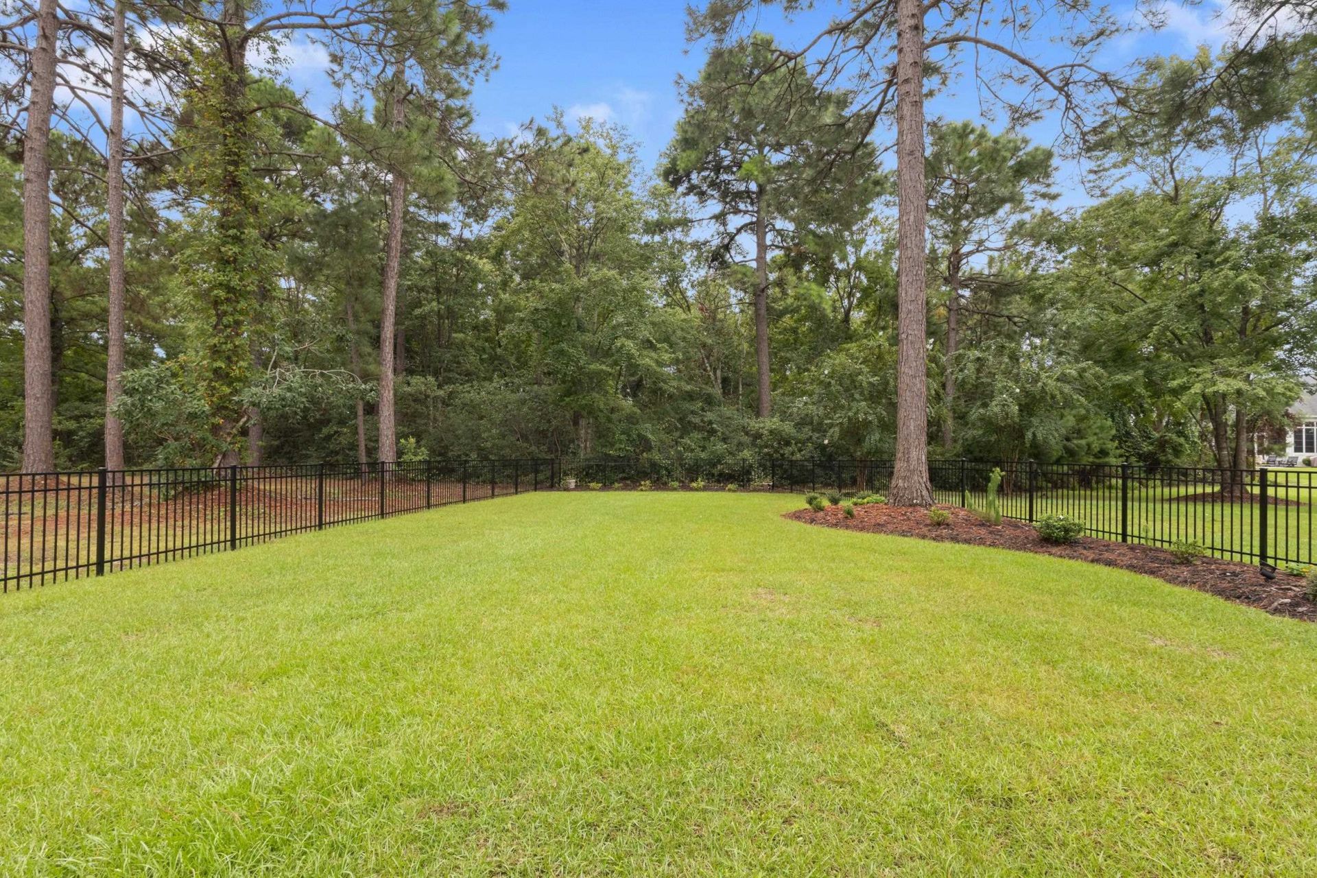 1136 Fiddlehead Way  Photo 53