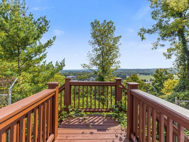 1046 Tuscany Place, Cincinnati, OH 45226 Photo 56