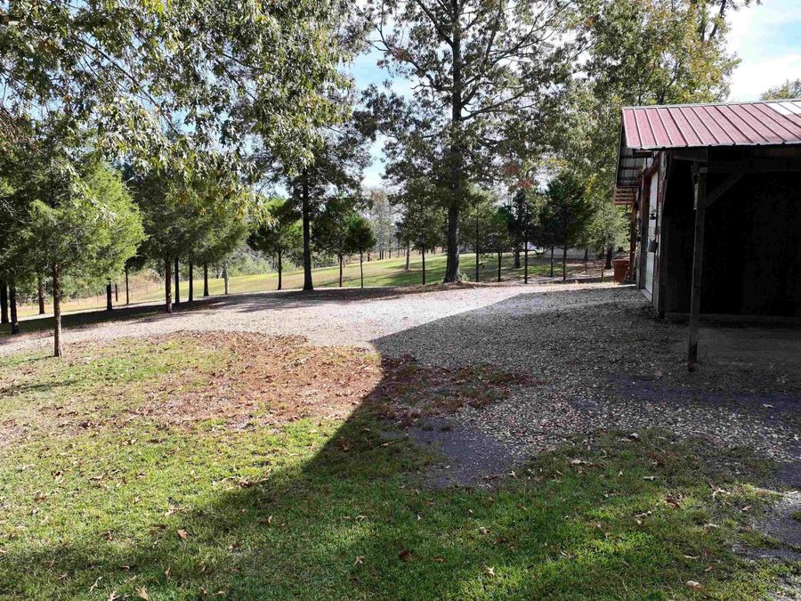 Property Image 43