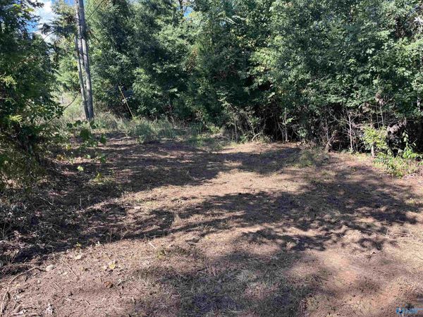 35 ACRES Pine Ridge Road, Union Grove, AL 35175