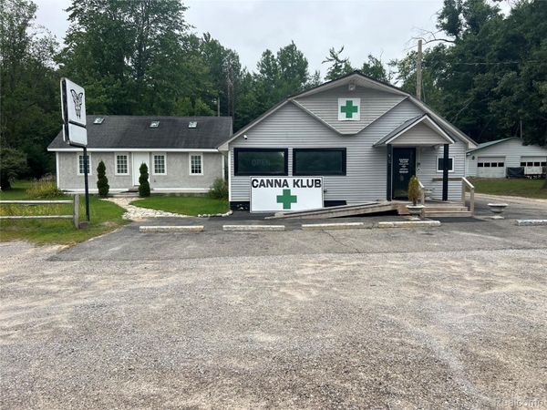 2163 Ryno Road , Big Creek Township, Mi 48636