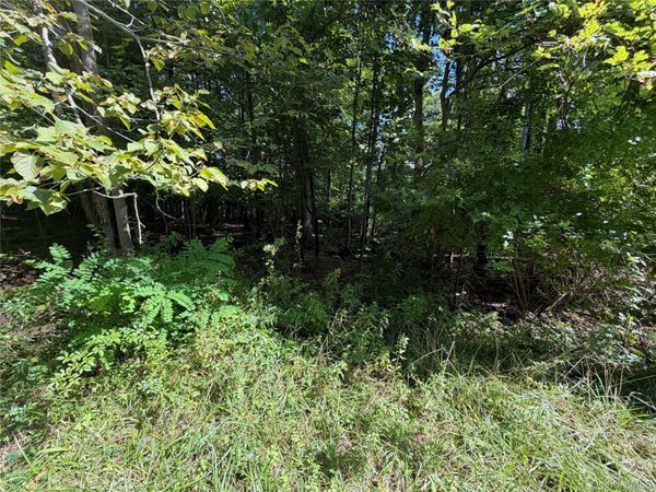 Lot 20.1 Mt Prosper Road , Wurtsboro, NY 12790