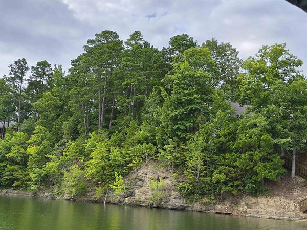 6 Sacedon Circle, Hot Springs Village, AR 71909