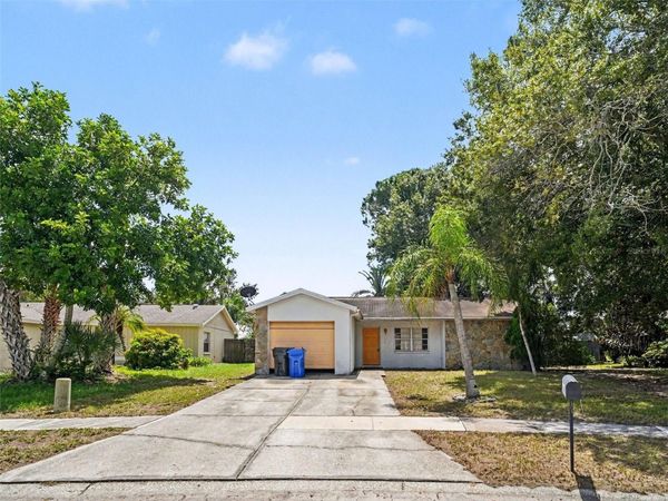 11329 BLACKBARK DR , RIVERVIEW, FL 33579