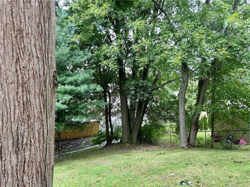 148 Marcia Drive, Austintown, OH 44515 Photo 41