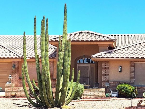 7952 E NAVARRO Avenue, Mesa, AZ 85209
