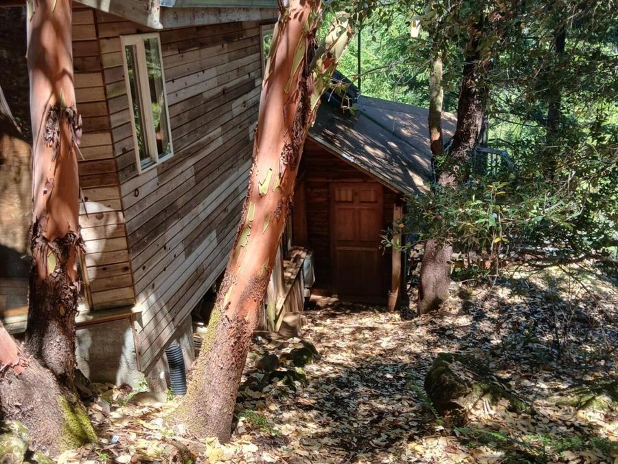 Property Image 45