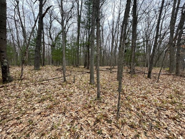 V/L Coates Highway, Brethren, MI 49619