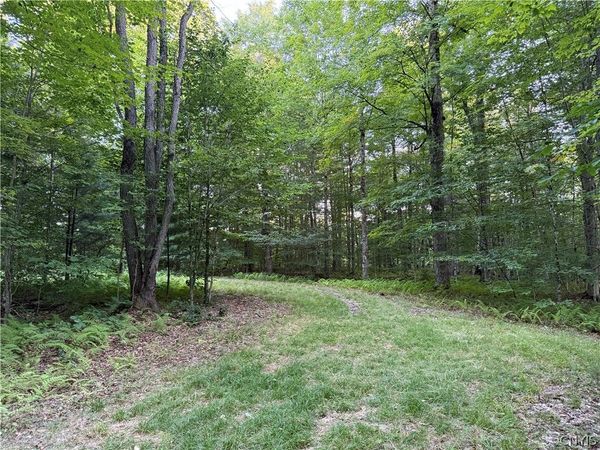Lot 1 River Road , Boonville, NY 13309