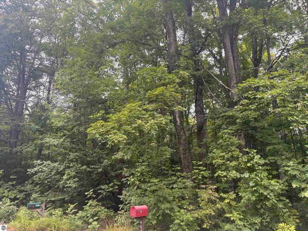 Hemlock Road S, Cedar, MI 40621