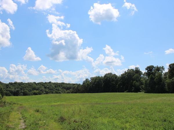 TBD E County Road 1100 N, Butlerville, IN 47223
