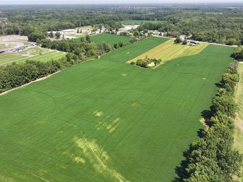 9278 Leavitt Road, Elyria, OH 44035 Photo 2