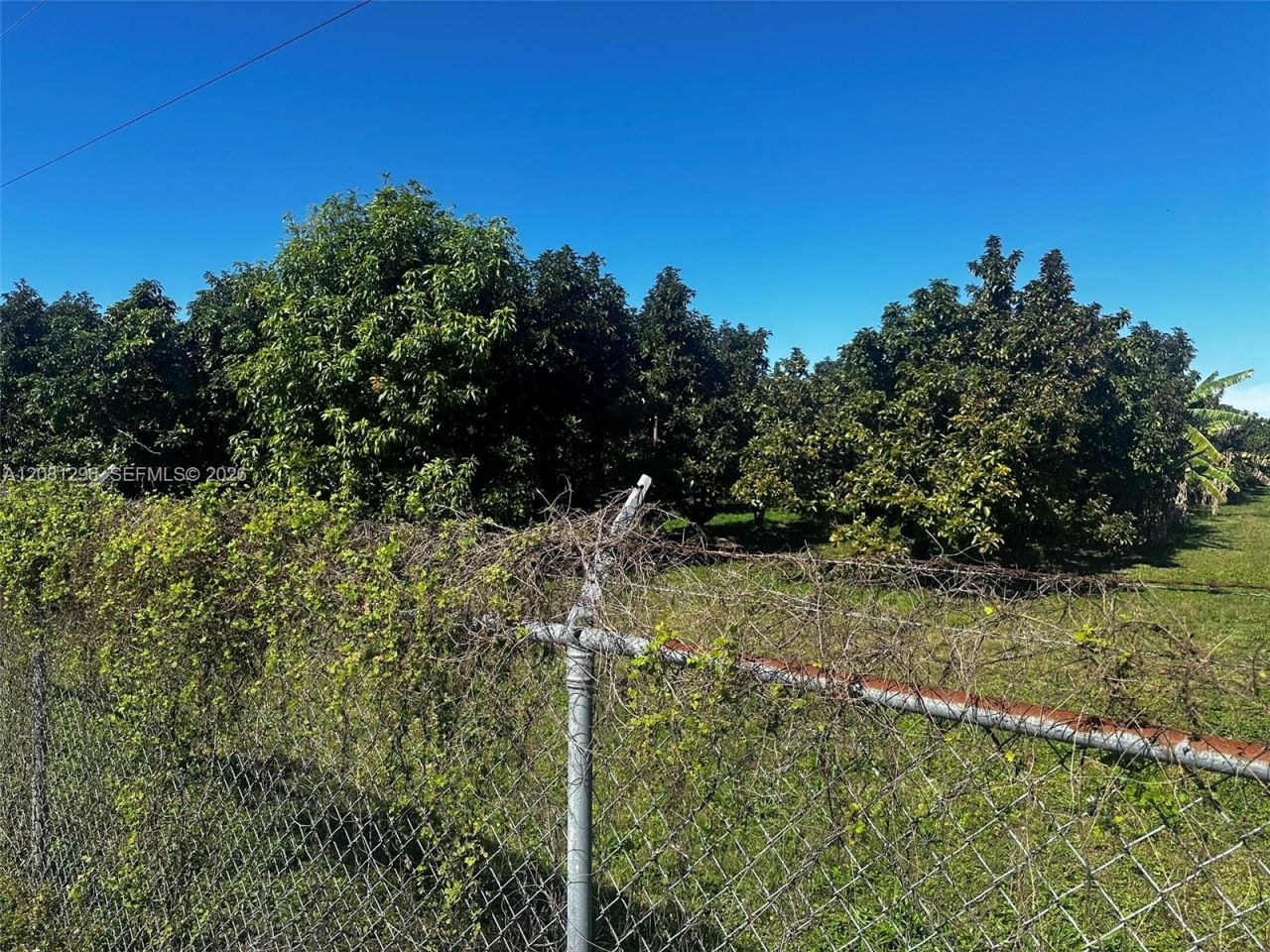 179xx SW 182 Av , Miami, FL 33187 Photo