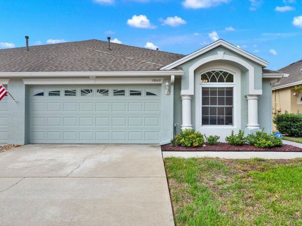 19343 HASKELL PLACE , LAND O LAKES, FL 34638