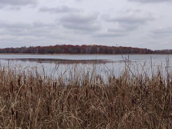 TBD* Snowshoe Trail , Staples, MN 56479