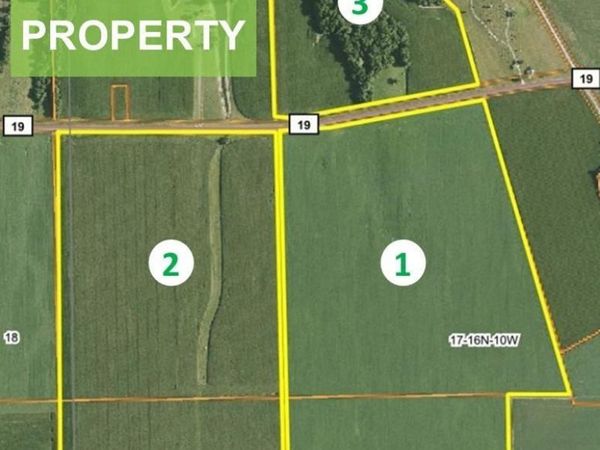Literberry Triopia Road, Jacksonville, IL 62650