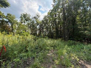 4627 State Route 414, Burdett, NY 14818