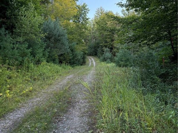 Lot #2 River Road , Boonville, NY 13309