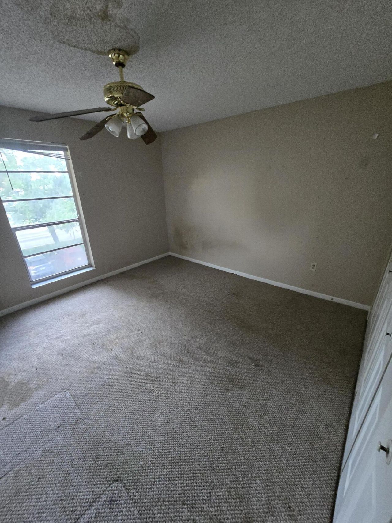 11101 Royal Palm Boulevard, Unit 213, Coral Springs, FL 33065 Photo