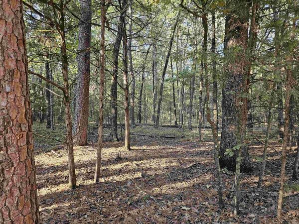 Lot 43 Pleasant Ridge Road, Greers Ferry, AR 72067