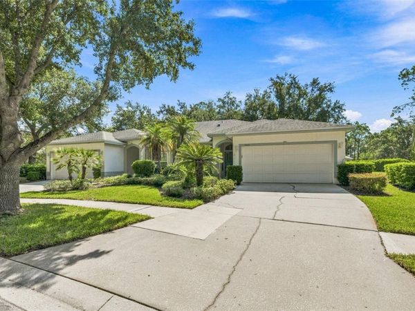 19031 CALLAWAY COURT , TAMPA, FL 33647