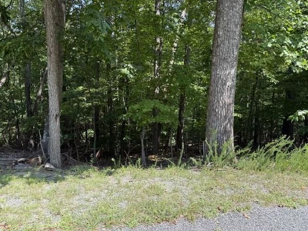 0 Fields AVE , Blue Ridge, VA 24064