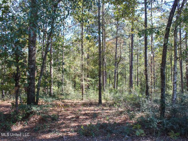 Marshal Place, Petal, MS 39465