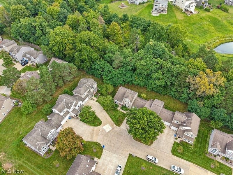 8569 Ravenswood Lane, Macedonia, OH 44056 Photo 37