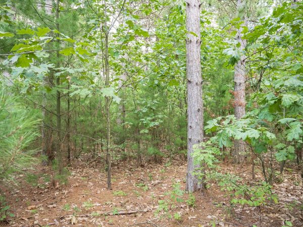 W4076 Mays Point Road, Necedah, WI 54646