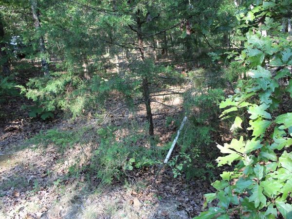 Lot 38 Jeb Road , Flippin, AR 72634